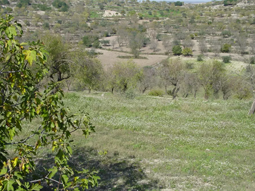 Immagine 11 di Casa indipendente in vendita  in Contrada Trezzeria a Ragusa