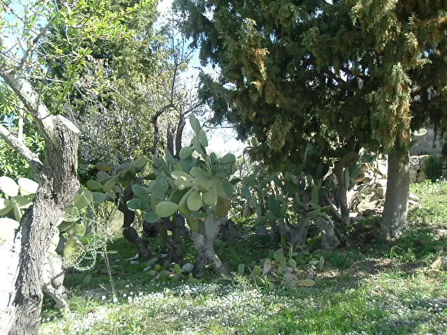 Immagine 14 di Casa indipendente in vendita  in Contrada Trezzeria a Ragusa