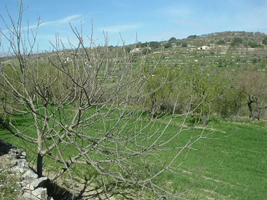 Immagine 15 di Casa indipendente in vendita  in Contrada Trezzeria a Ragusa