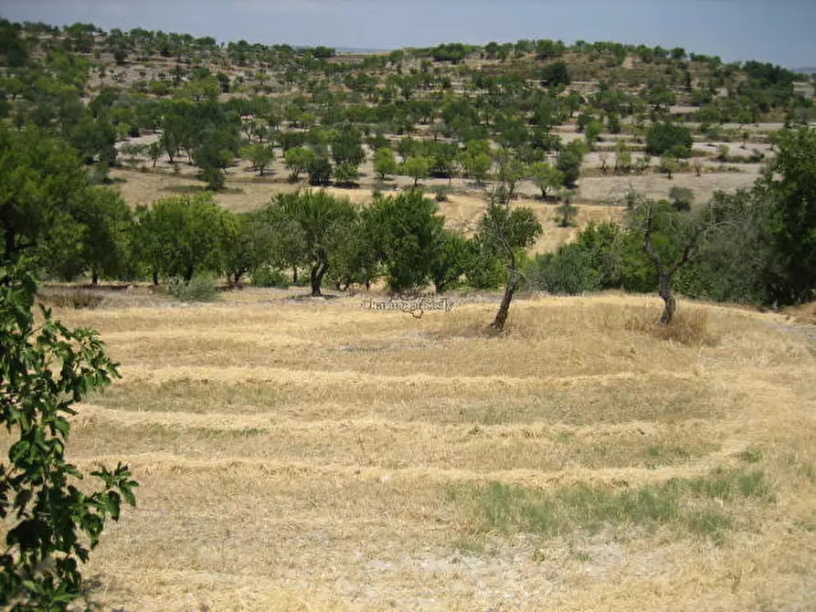 Immagine 26 di Casa indipendente in vendita  in Contrada Trezzeria a Ragusa