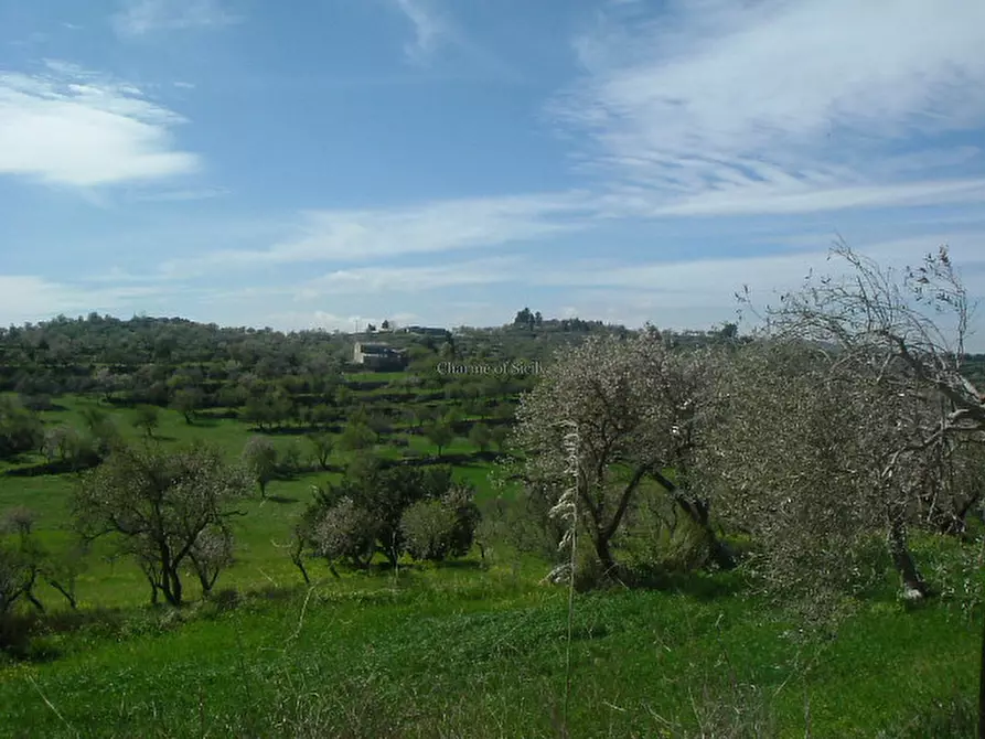 Immagine 28 di Casa indipendente in vendita  in Contrada Trezzeria a Ragusa