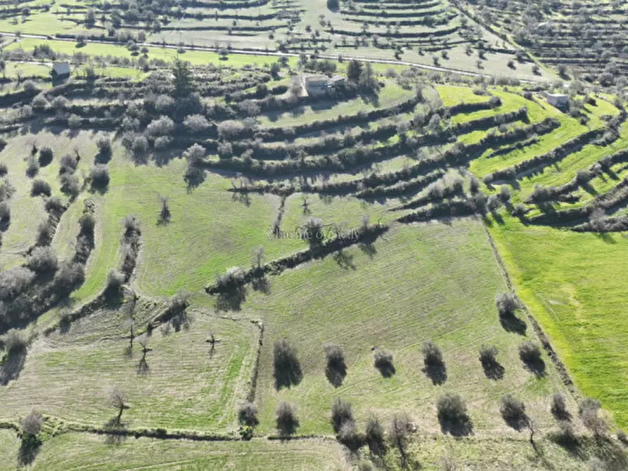 Immagine 30 di Casa indipendente in vendita  in Contrada Trezzeria a Ragusa