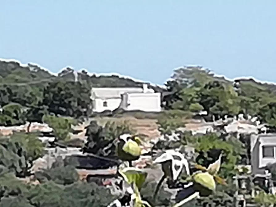 Immagine 2 di Rustico / casale in vendita  a Cisternino