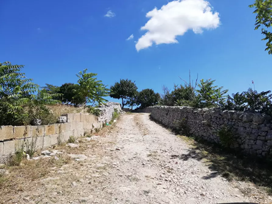 Immagine 3 di Rustico / casale in vendita  a Cisternino