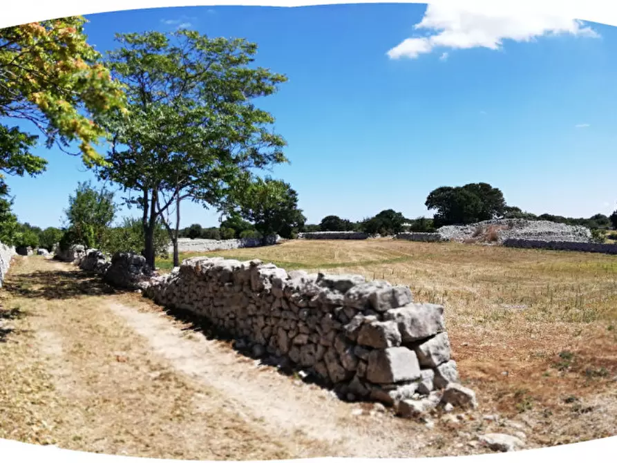 Immagine 4 di Rustico / casale in vendita  a Cisternino