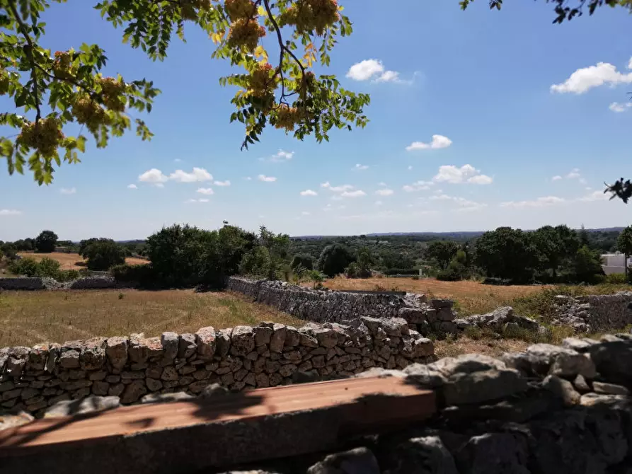 Immagine 6 di Rustico / casale in vendita  a Cisternino