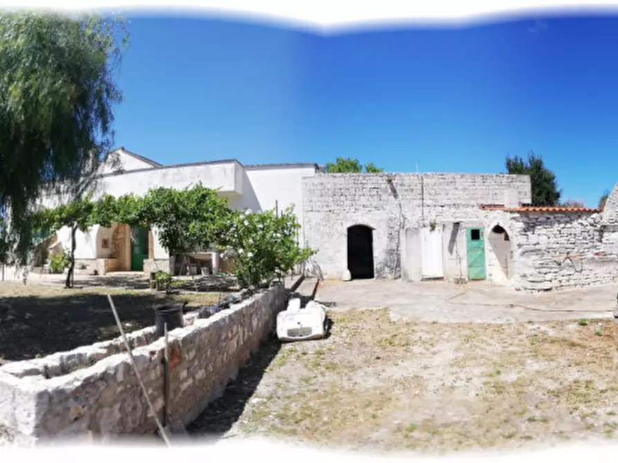 Immagine 9 di Rustico / casale in vendita  a Cisternino