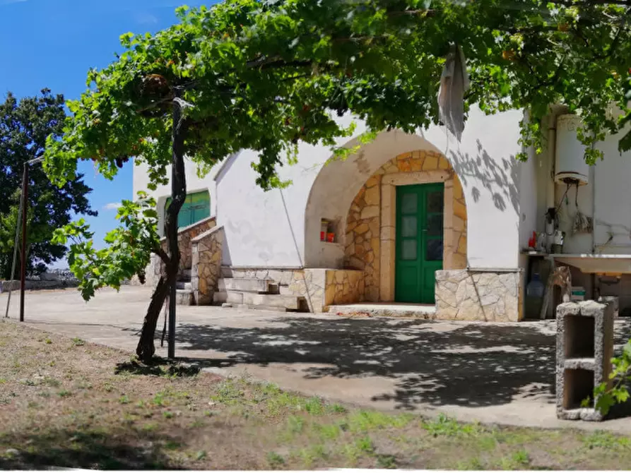 Immagine 11 di Rustico / casale in vendita  a Cisternino