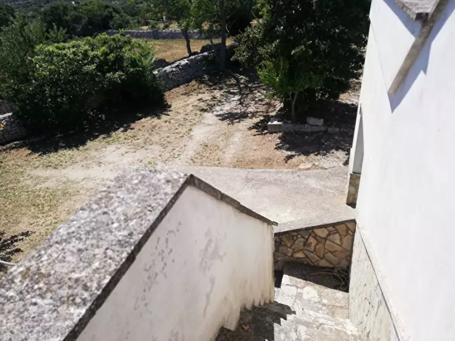 Immagine 15 di Rustico / casale in vendita  a Cisternino