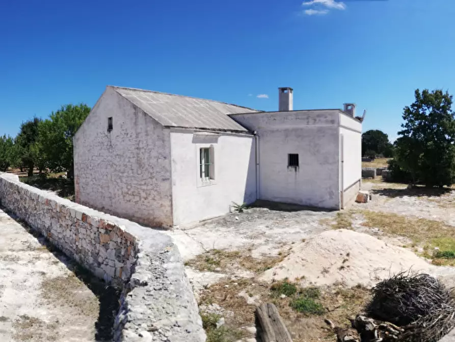 Immagine 29 di Rustico / casale in vendita  a Cisternino