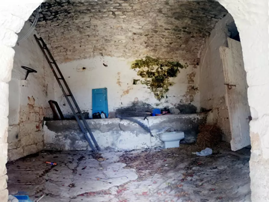 Immagine 35 di Rustico / casale in vendita  a Cisternino