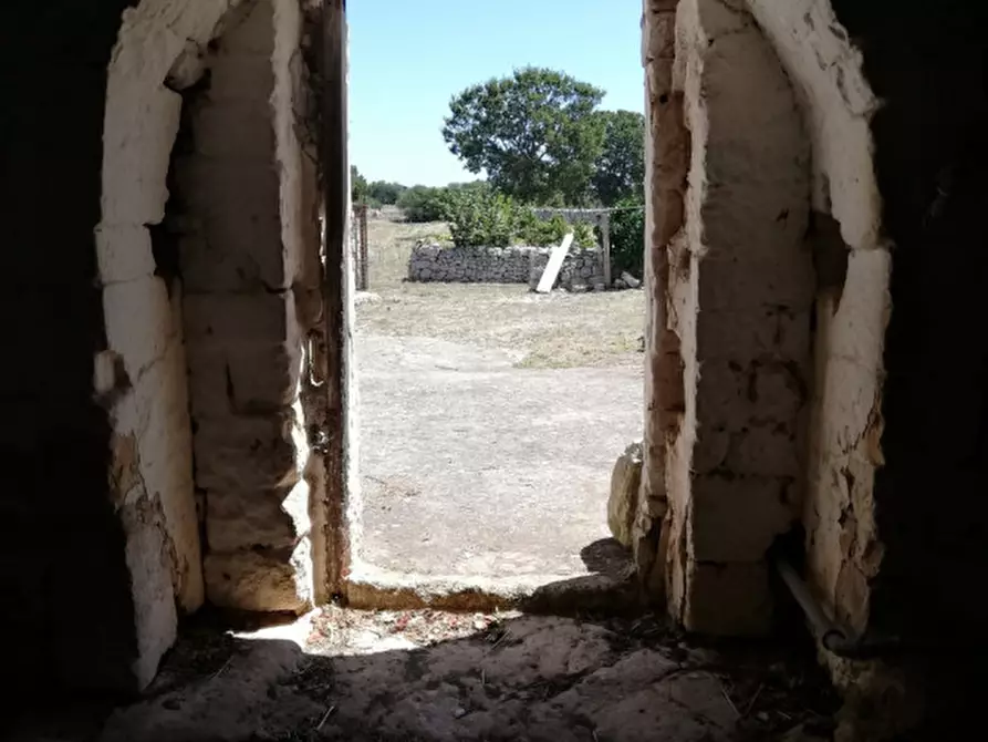 Immagine 36 di Rustico / casale in vendita  a Cisternino