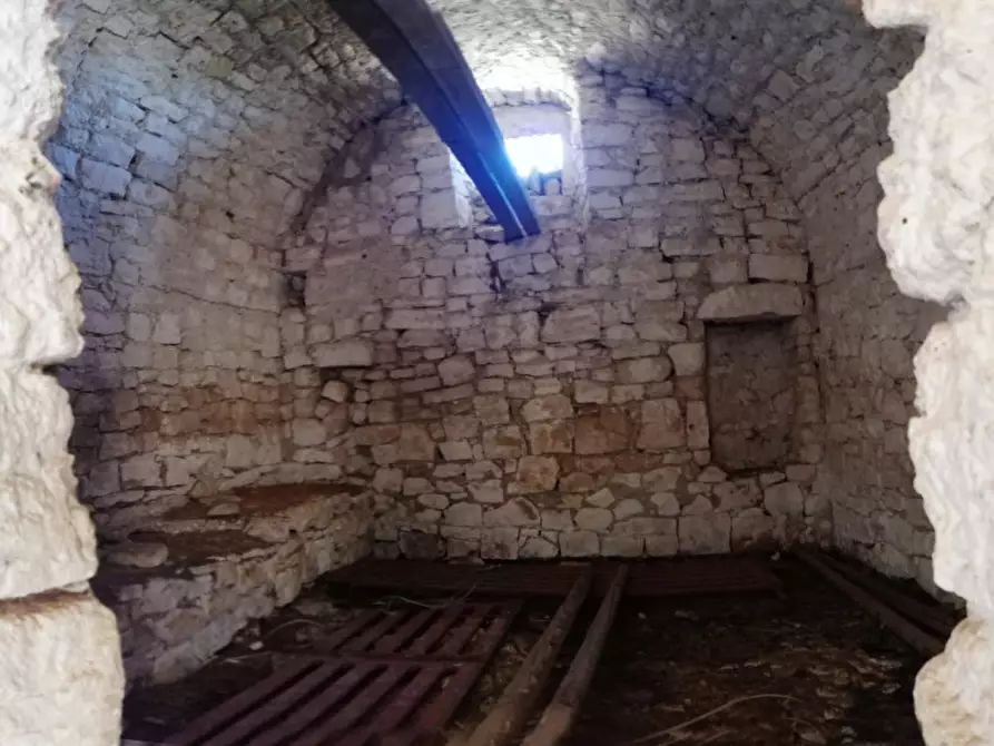 Immagine 37 di Rustico / casale in vendita  a Cisternino