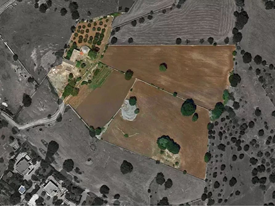 Immagine 39 di Rustico / casale in vendita  a Cisternino