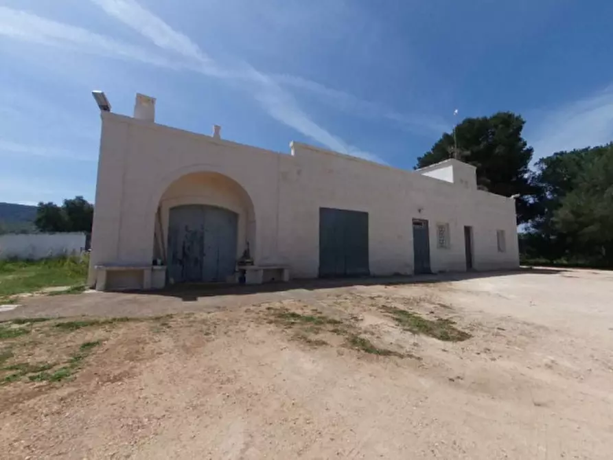 Immagine 4 di Rustico / casale in vendita  a Fasano