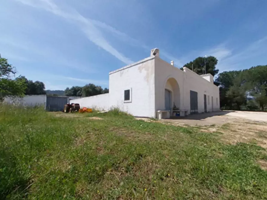 Immagine 5 di Rustico / casale in vendita  a Fasano