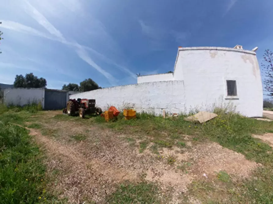 Immagine 6 di Rustico / casale in vendita  a Fasano