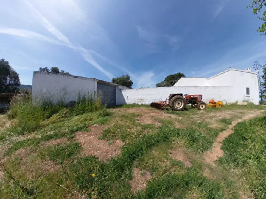 Immagine 7 di Rustico / casale in vendita  a Fasano