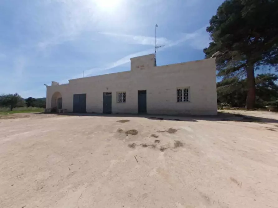 Immagine 8 di Rustico / casale in vendita  a Fasano