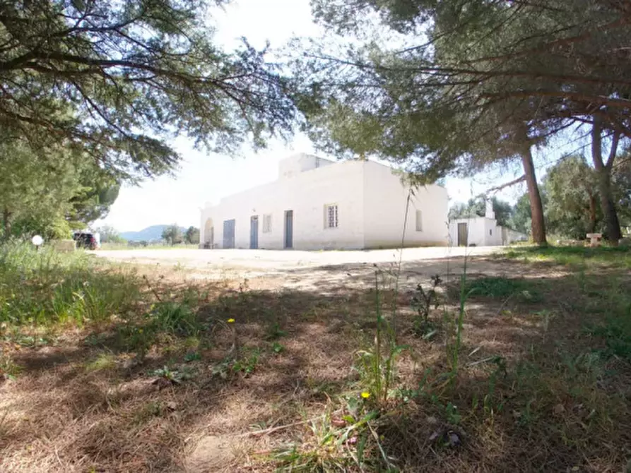 Immagine 10 di Rustico / casale in vendita  a Fasano