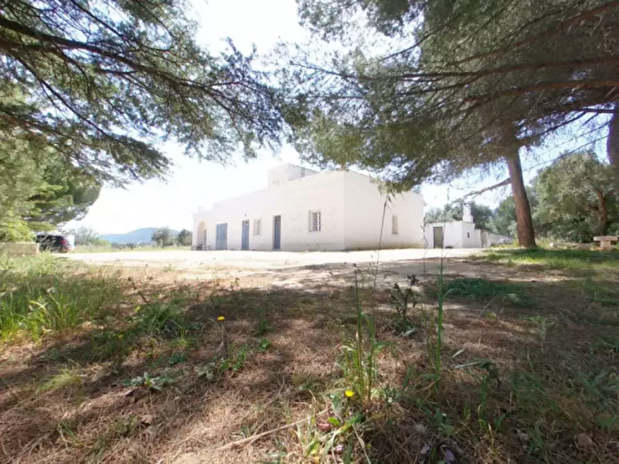 Immagine 11 di Rustico / casale in vendita  a Fasano
