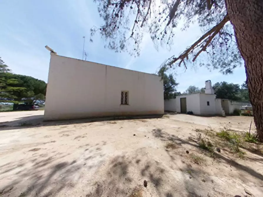 Immagine 12 di Rustico / casale in vendita  a Fasano