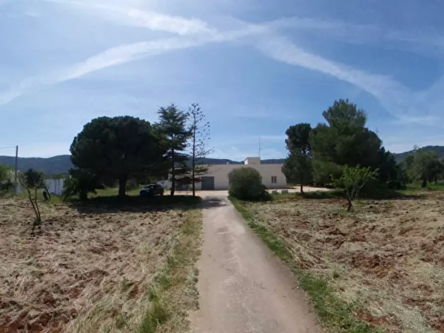 Immagine 14 di Rustico / casale in vendita  a Fasano