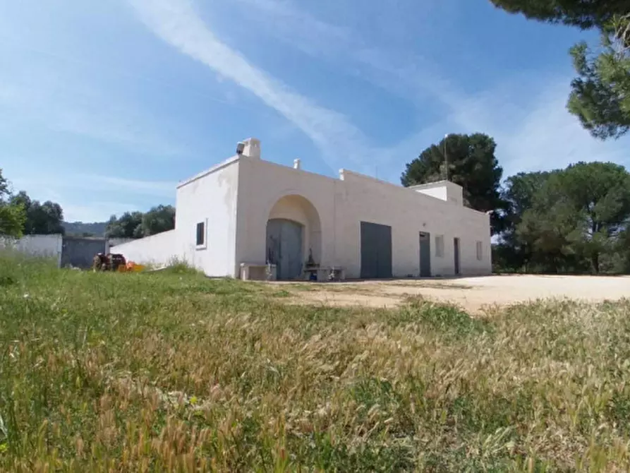 Immagine 15 di Rustico / casale in vendita  a Fasano