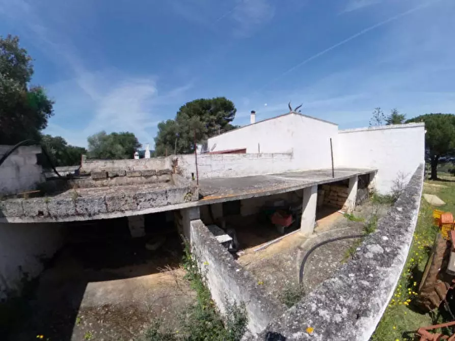 Immagine 16 di Rustico / casale in vendita  a Fasano