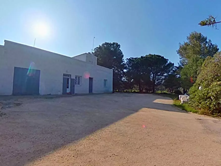 Immagine 17 di Rustico / casale in vendita  a Fasano