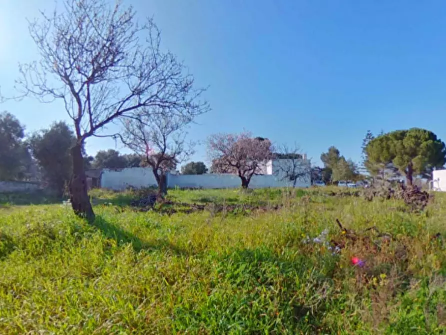 Immagine 28 di Rustico / casale in vendita  a Fasano