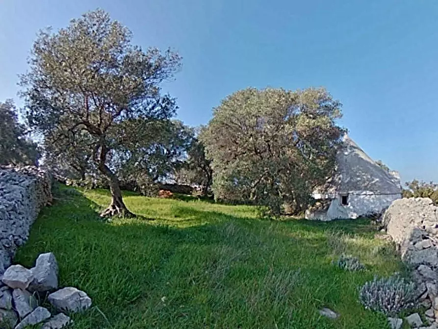 Immagine 38 di Rustico / casale in vendita  a Fasano