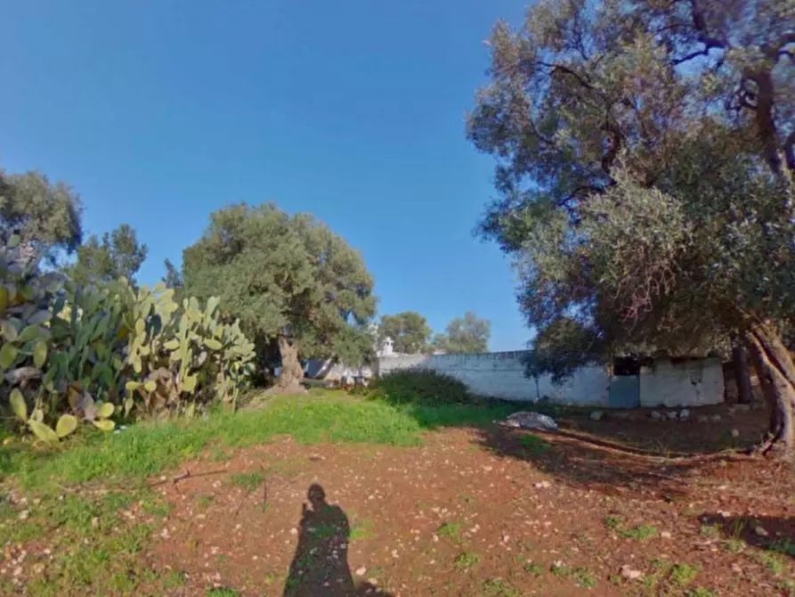 Immagine 39 di Rustico / casale in vendita  a Fasano
