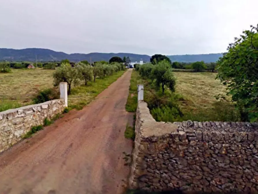 Immagine 45 di Rustico / casale in vendita  a Fasano
