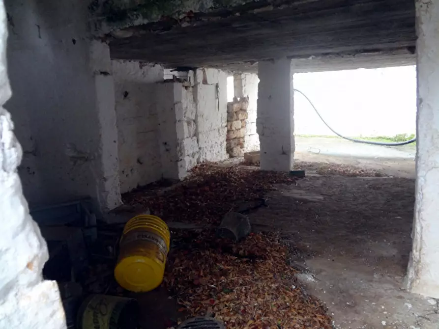Immagine 48 di Rustico / casale in vendita  a Fasano