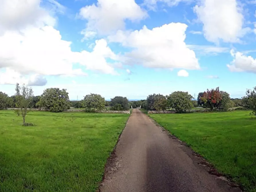 Immagine 51 di Rustico / casale in vendita  a Fasano