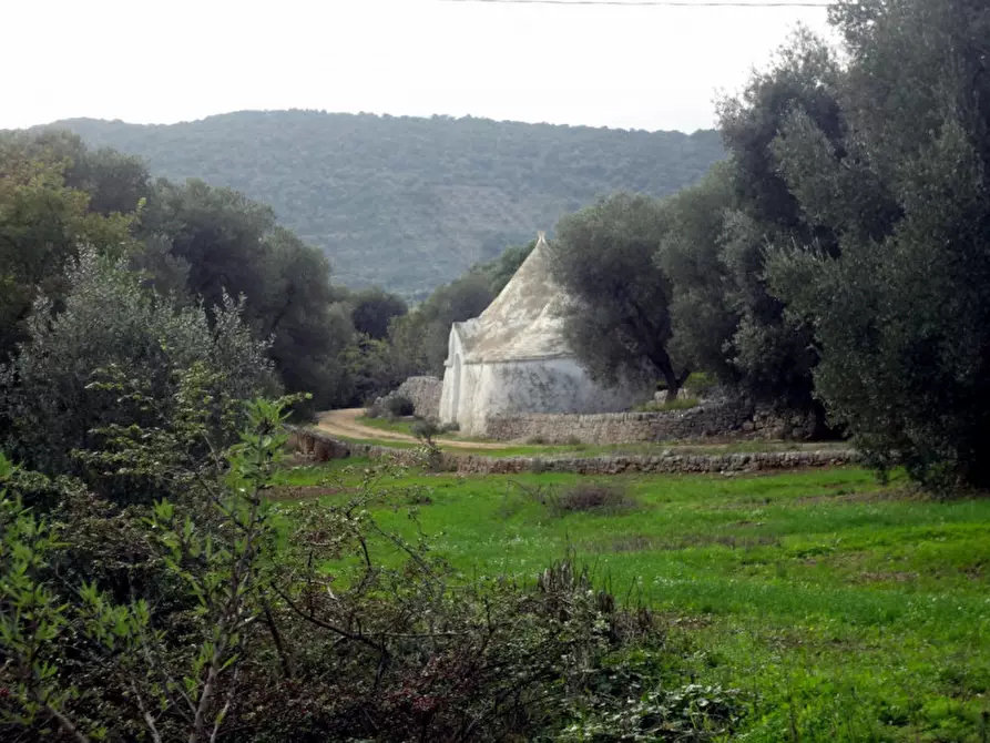 Immagine 52 di Rustico / casale in vendita  a Fasano