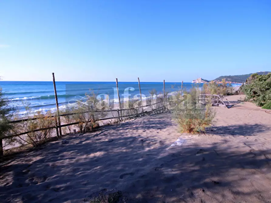 Immagine 3 di Villa in vendita  a Castiglione Della Pescaia