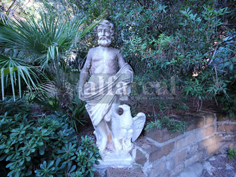 Immagine 6 di Villa in vendita  a Castiglione Della Pescaia