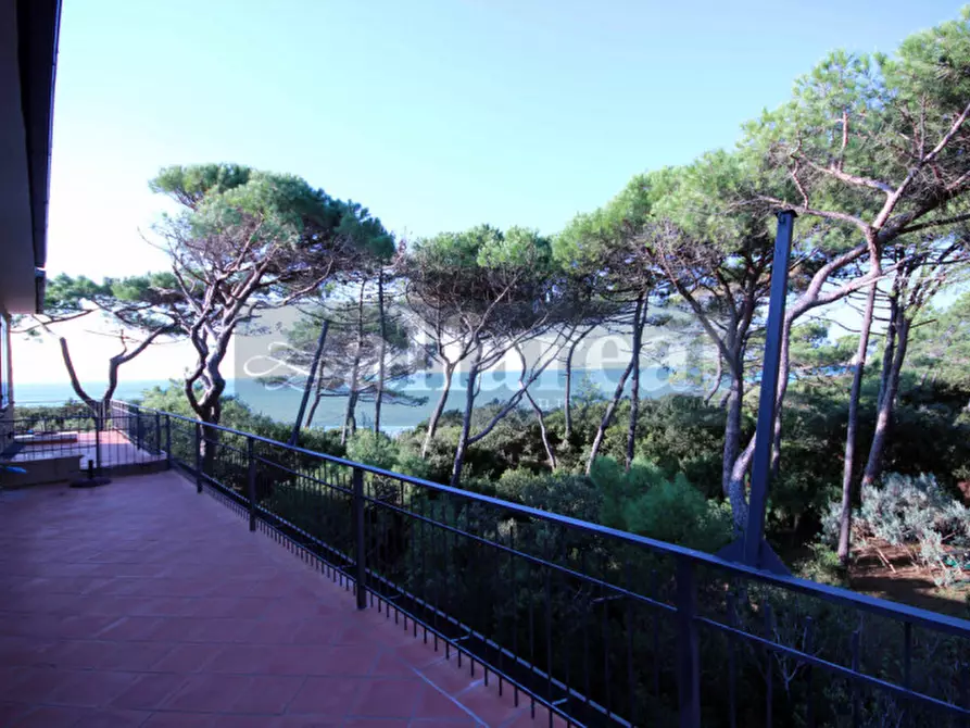 Immagine 7 di Villa in vendita  a Castiglione Della Pescaia