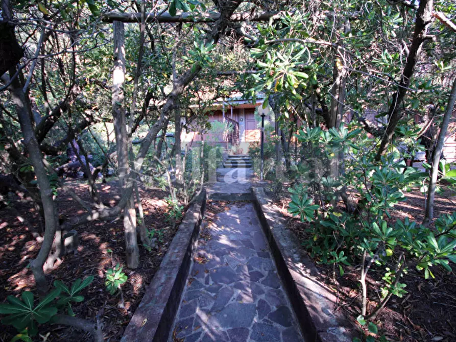 Immagine 8 di Villa in vendita  a Castiglione Della Pescaia