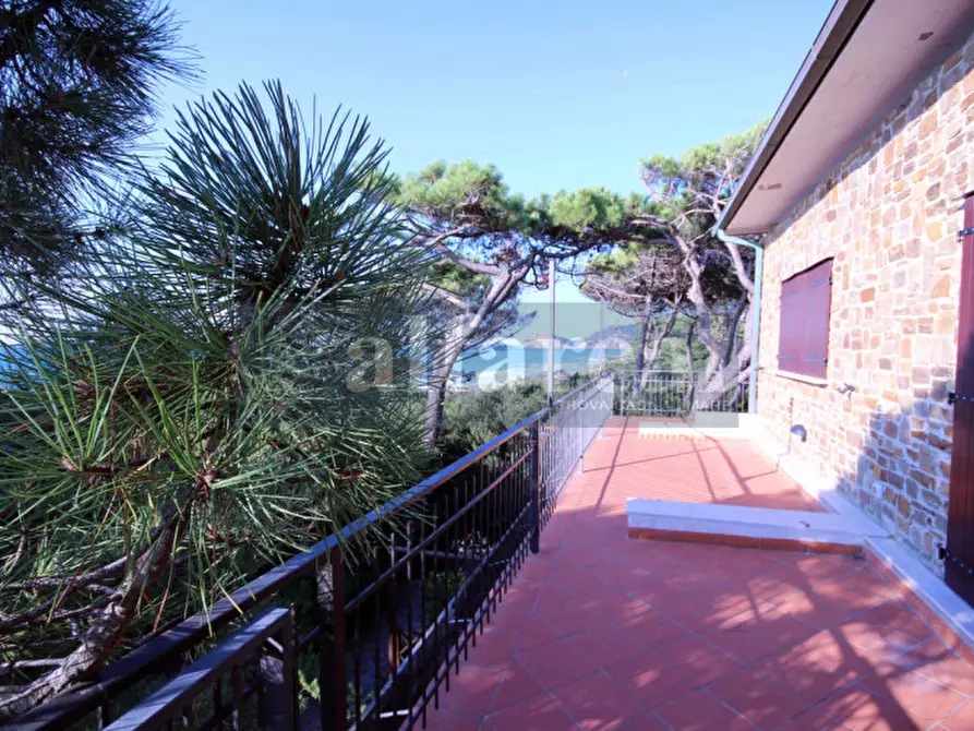 Immagine 9 di Villa in vendita  a Castiglione Della Pescaia
