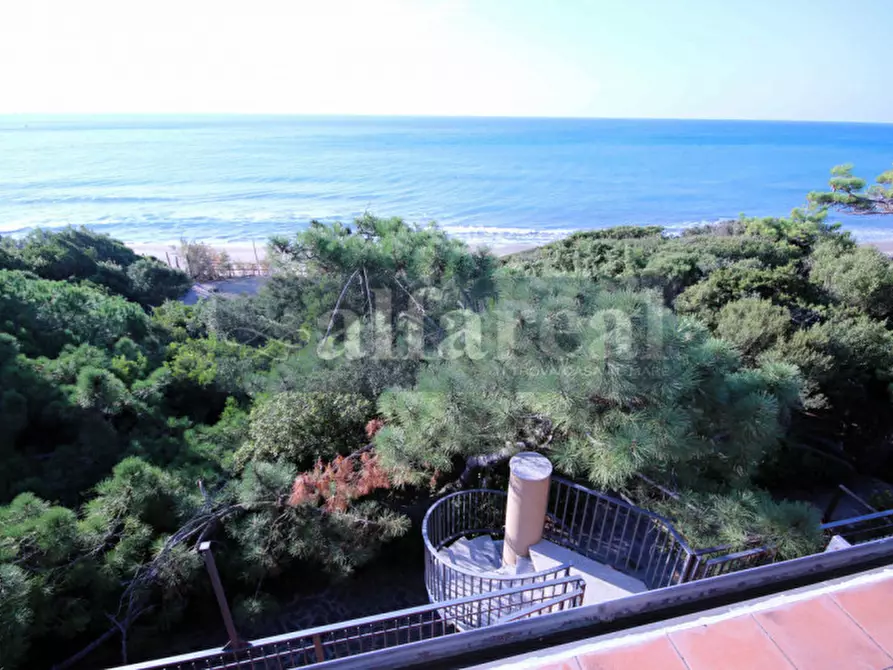 Immagine 10 di Villa in vendita  a Castiglione Della Pescaia