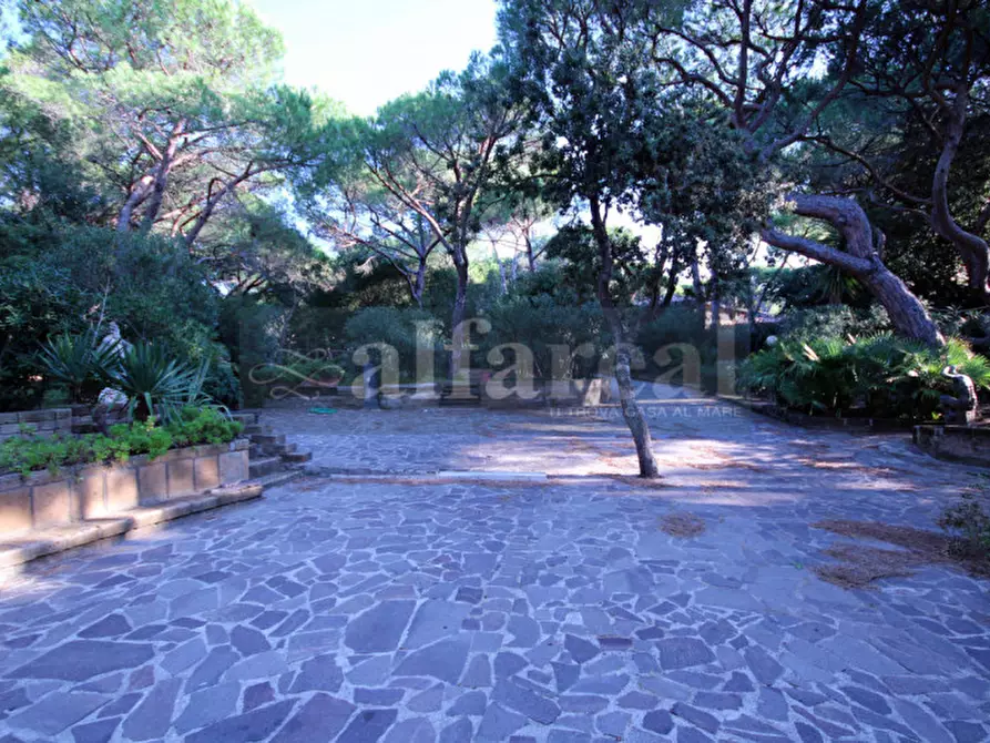 Immagine 12 di Villa in vendita  a Castiglione Della Pescaia