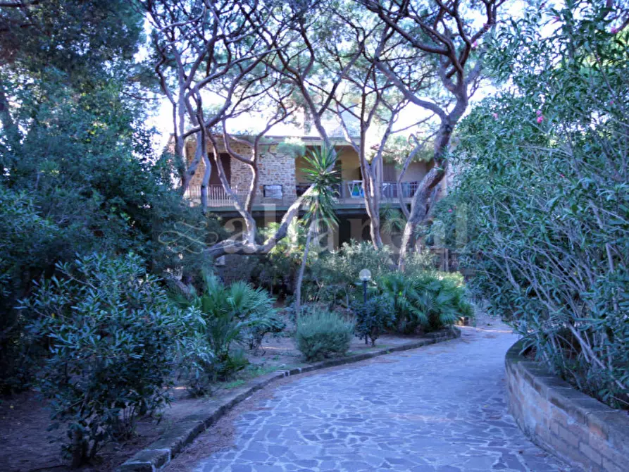 Immagine 13 di Villa in vendita  a Castiglione Della Pescaia