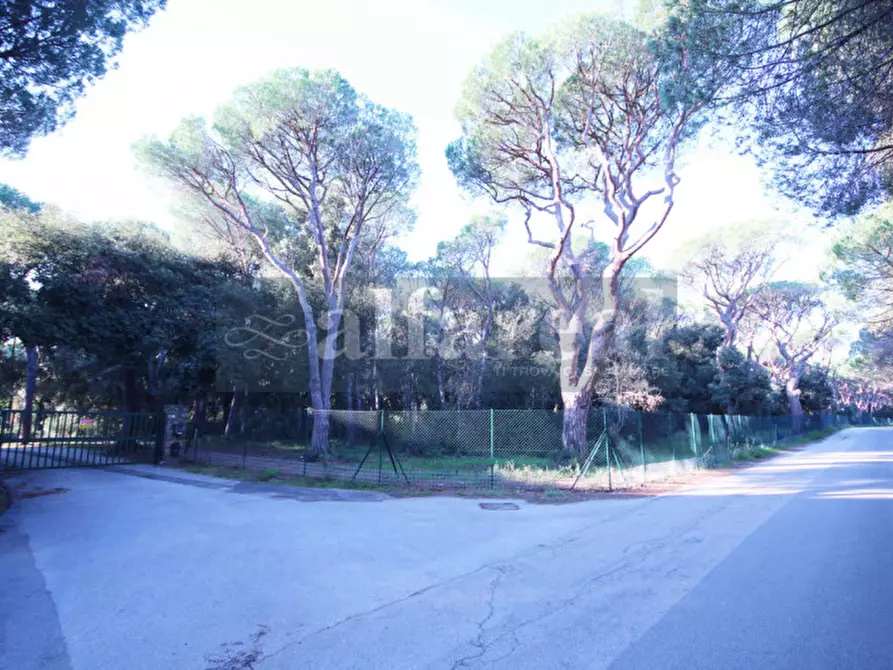 Immagine 15 di Villa in vendita  a Castiglione Della Pescaia