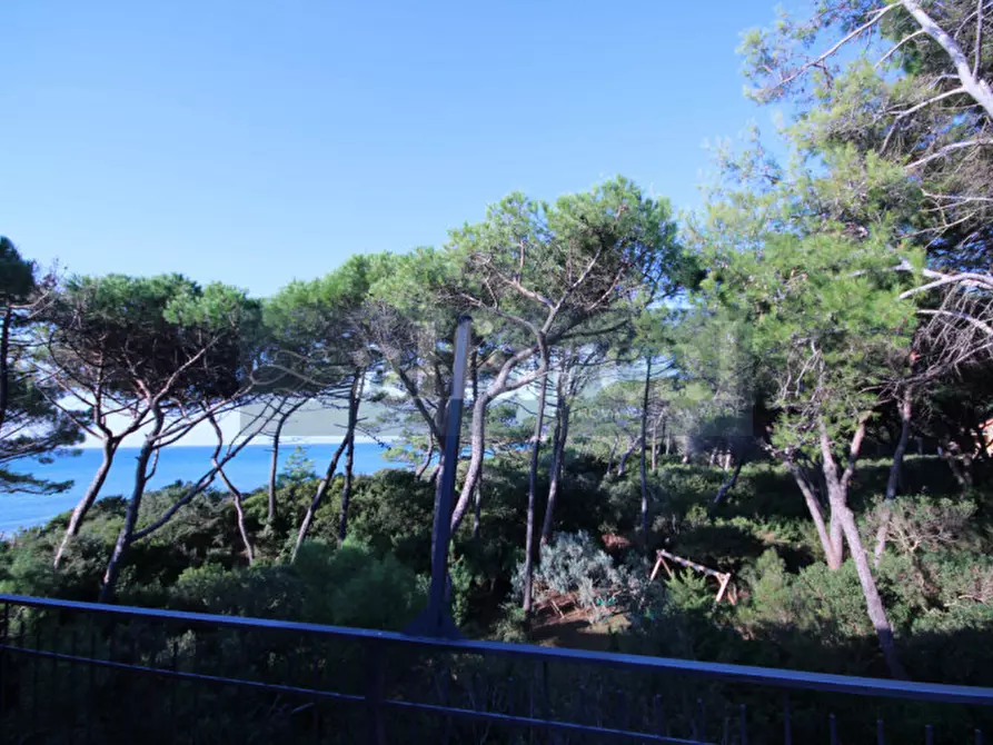 Immagine 17 di Villa in vendita  a Castiglione Della Pescaia