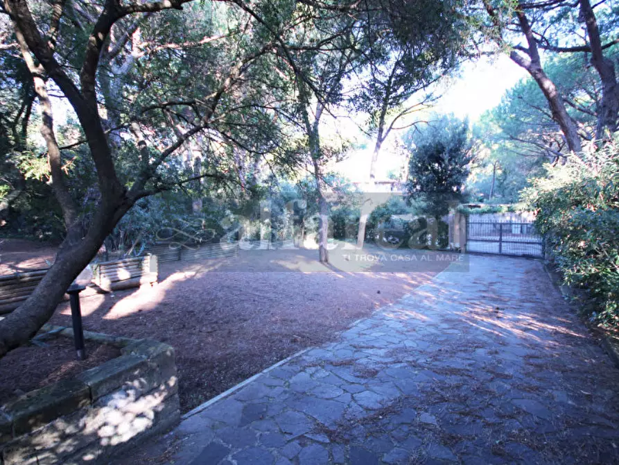 Immagine 18 di Villa in vendita  a Castiglione Della Pescaia