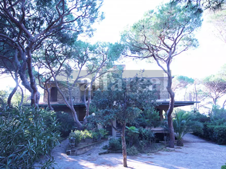 Immagine 19 di Villa in vendita  a Castiglione Della Pescaia