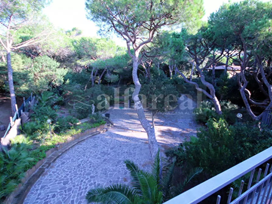 Immagine 21 di Villa in vendita  a Castiglione Della Pescaia